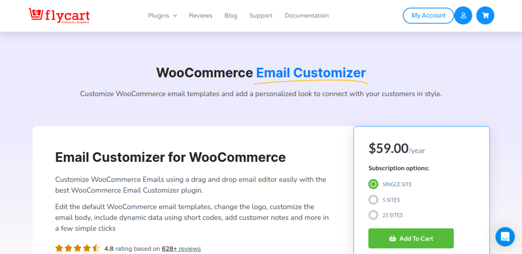 email customizer banner