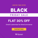 Email Customizer Black Friday deal