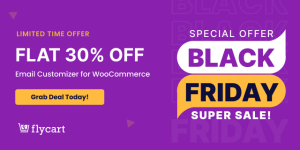 Email customizer black friday deal