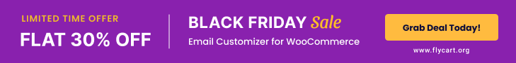 Email Customizer Black Friday deal