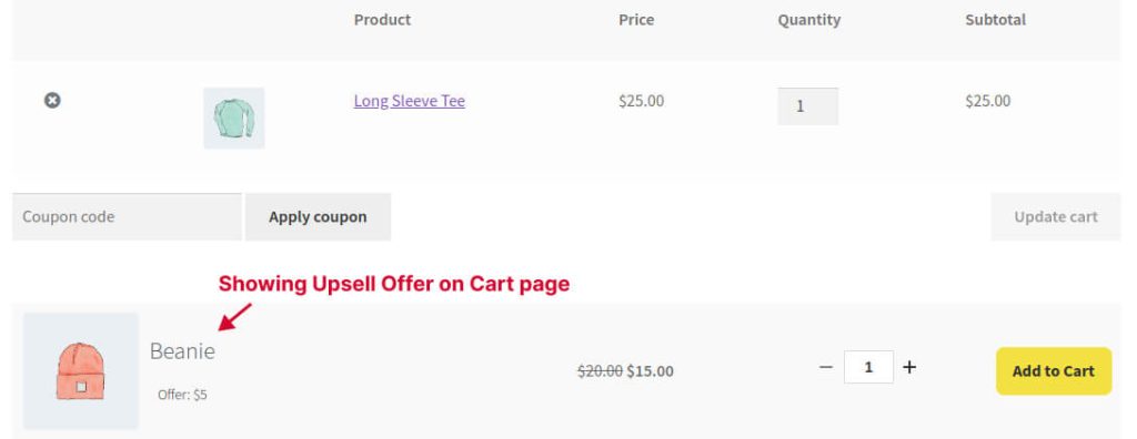 Showing Upsell Offer on Cart page