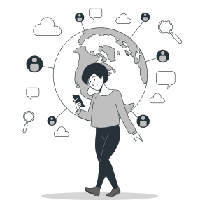 WordPress Plugins Online connection