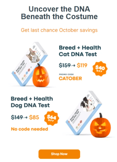 Product bundles for Halloween
